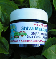 Shiva Masque